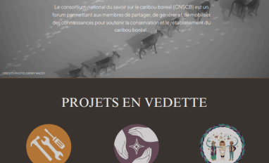 Newsletter cover page