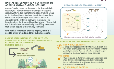 Infographic snap shot