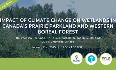 Impact of Climate Change on Wetlands in Canada's Prairie Parkland and Western Boreal Forest