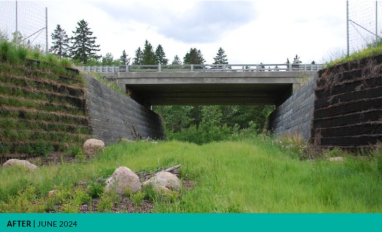 Marquis Wildlife Corridor