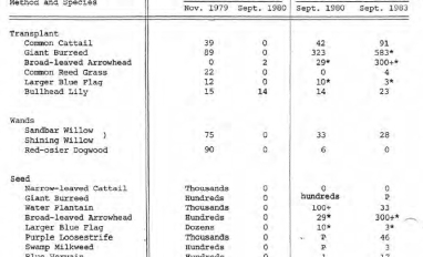 Marsh revegetation species