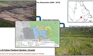 Peatland Graphical Abstract