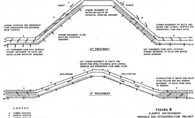Salt movement at Highvale Plots