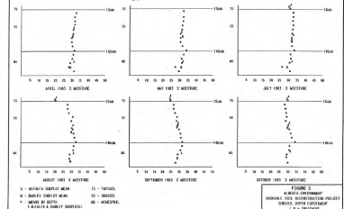 Soil moisture by depth and treatment