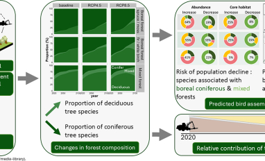 Bird Assemblage Response to Climate Graphical Abstract