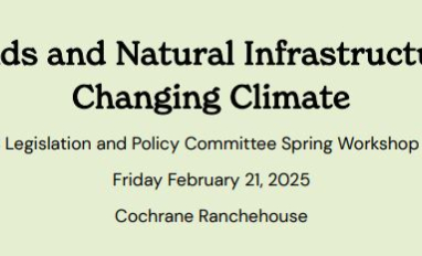 Wetlands and Natural Infrastructure in a Changing Climate Banner