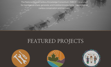 Newsletter cover page