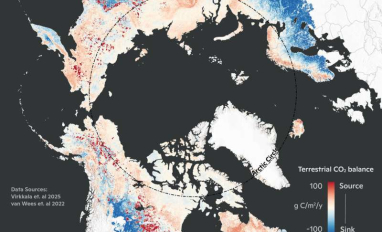 Arctice Average Terrestrial CO2 Balance (2001-2020)