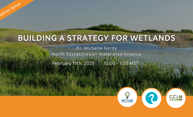 Building a Strategy for Wetlands