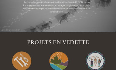 page de couverture de la newsletter