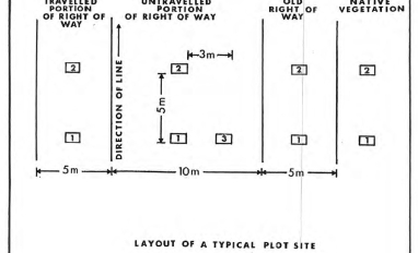 Plot layout