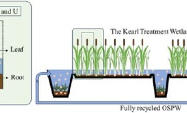 Treatment Wetland Graphical Abstract