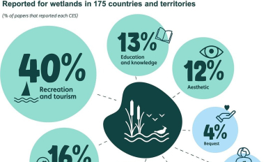 Cultural Ecosystem Sevices