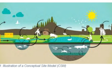 Conceptual Site Model