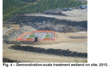 Constructed wetland demonstration