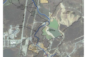 Hollinger Tailings Management Area