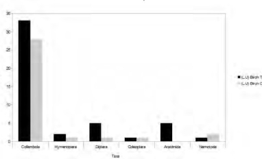 Microarthropod types in reclamation sites