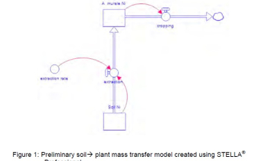 Nickel uptake model