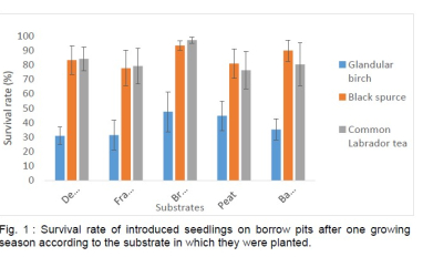 Tree and shrub survival