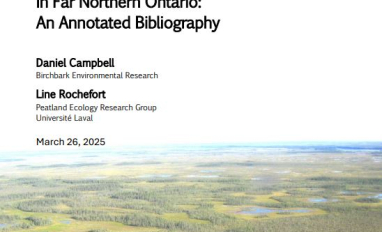 Annotated Bibliography