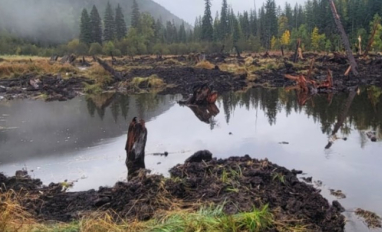 Cambridge Creek wetlands restoration project