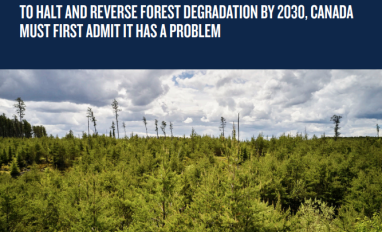 Cover page of report