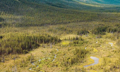 Yukon Guide de Terrain des Milieux Humides