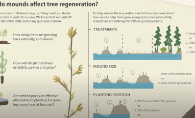 Mound Graphic from Video