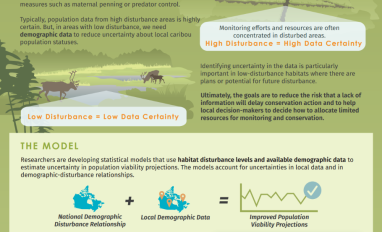 Caribou Calculations image