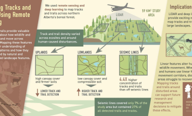 LiDAR and CNN Graphical Abstract