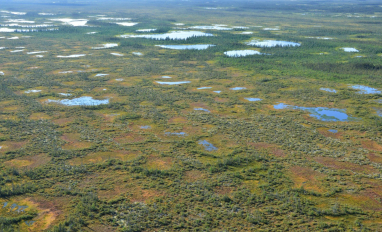 Peatland pools