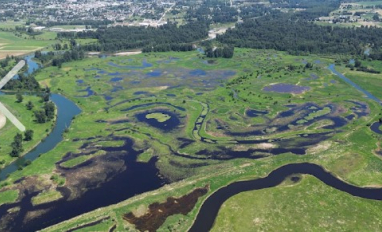 Lower Kootenay wetland restoration