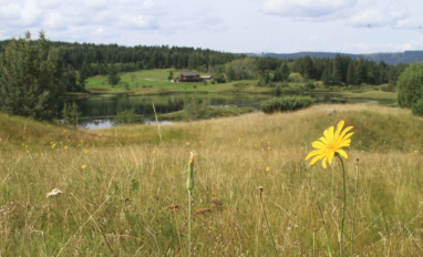 Predicting the effects of land cover change on biodiversity in Prairie Canada using species distribution models