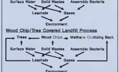 Wood waste for reclamation