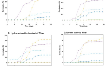 Wetland species germination patterns in various media