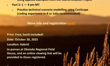 Landscape connectivity Workshop