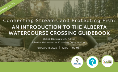 february_2026_WKE_slide.