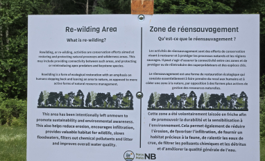New Brunswick rewilding sign