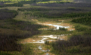 ABMI Wetland Webinar