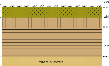 afbeelding-mineral-substrate