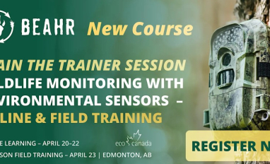 BEAHR Wildlife Course