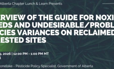 CLRA Lunch & Learn Weeds