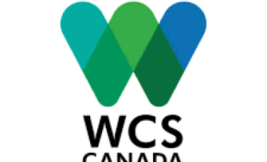 WCS logo 