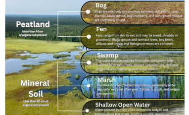 Wetland Classes in Alberta