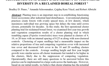 Cluster Planting: Early Enhancement
