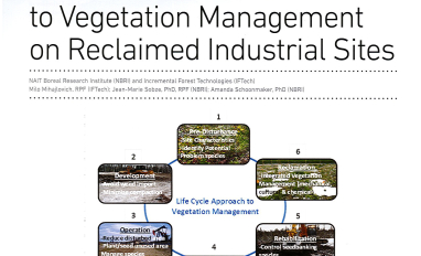 Life Cycle Approach Image