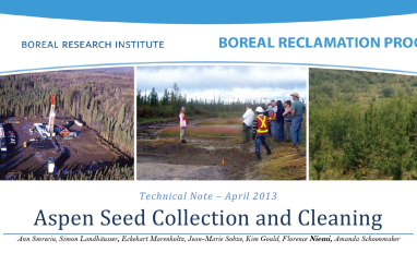  Harvesting and Cleaning Aspen Seeds Title