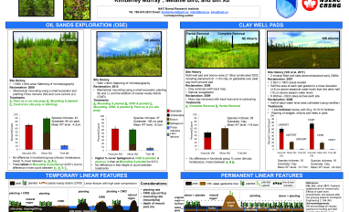  Implications for Restoration of Linear Disturbances Image