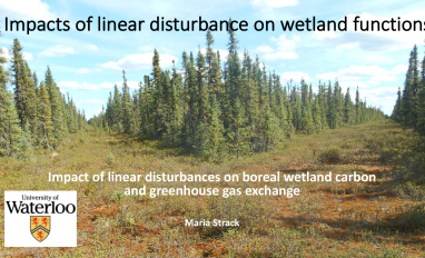 Impact of Linear Disturbances Image