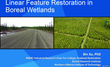 Linear Feature Restoration in Boreal Wetlands image